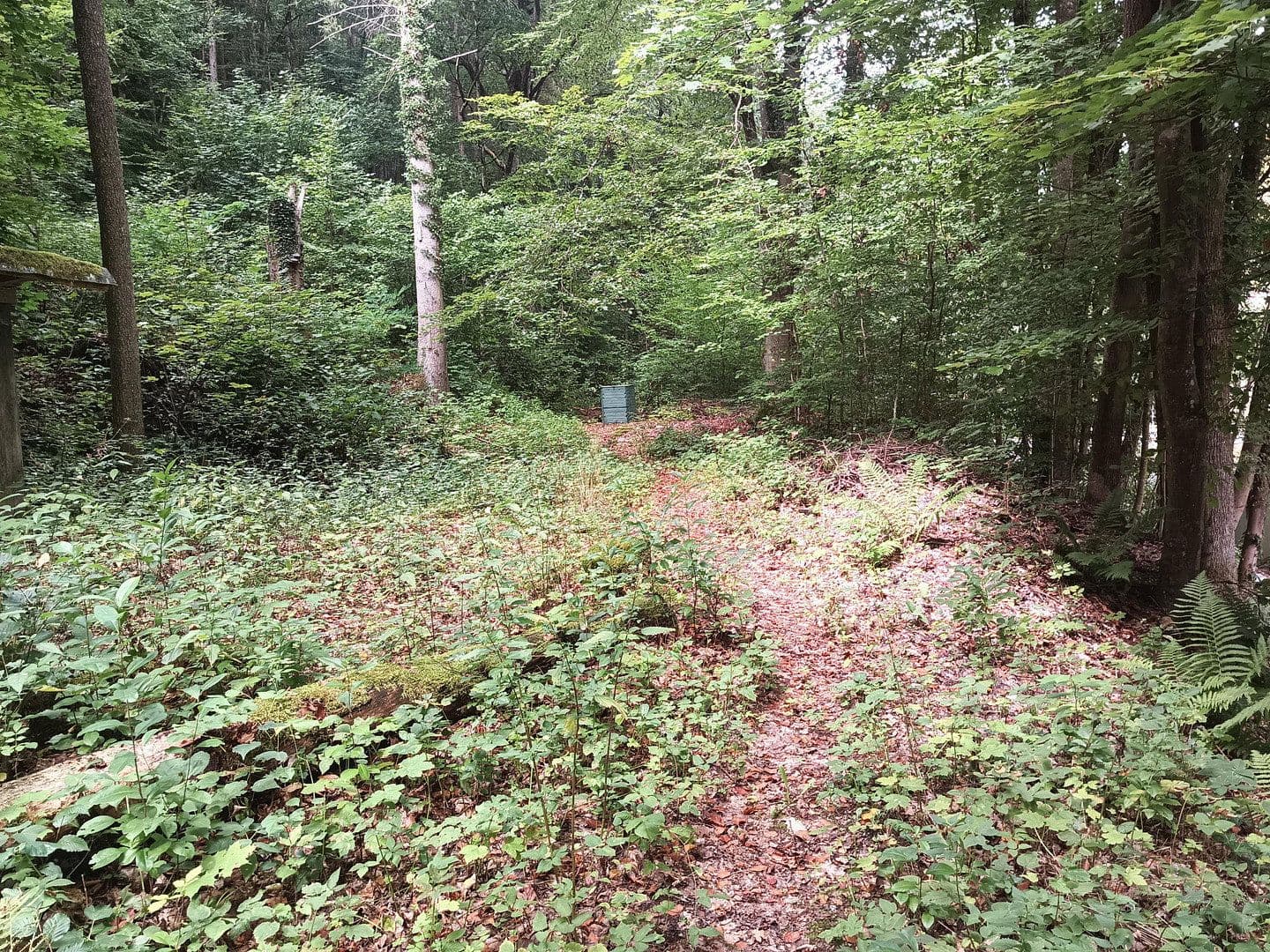 Predaj domu 180 m², pozemok 3.848 m², Wolfskehle 52, Kulmbach, Bavorsko Predaj domu 180 m², pozemok 3.848 m², Wolfskehle 52, Kulmbach, Bavorsko