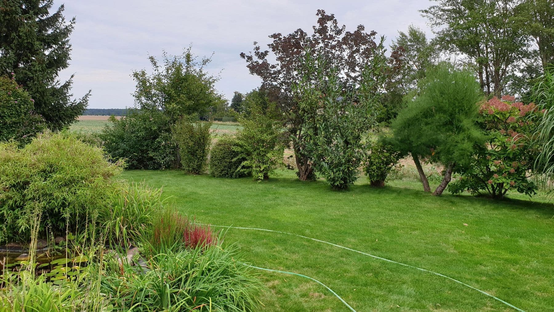 Predaj domu 113 m², pozemok 495 m², Krostitz, Sasko Predaj domu 113 m², pozemok 495 m², Krostitz, Sasko