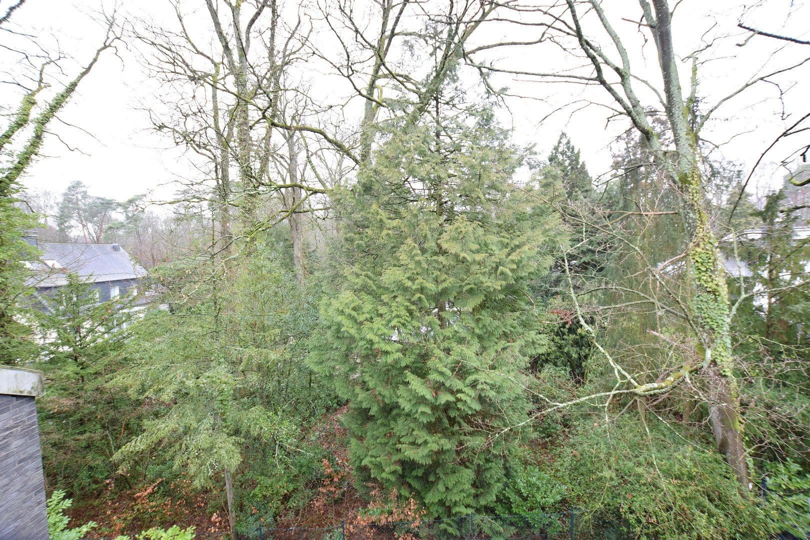 Predaj bytu 3-izbový 135 m², Bergisch Gladbach, Severné Porýnie - Westfálsko Predaj bytu 3-izbový 135 m², Bergisch Gladbach, Severné Porýnie - Westfálsko