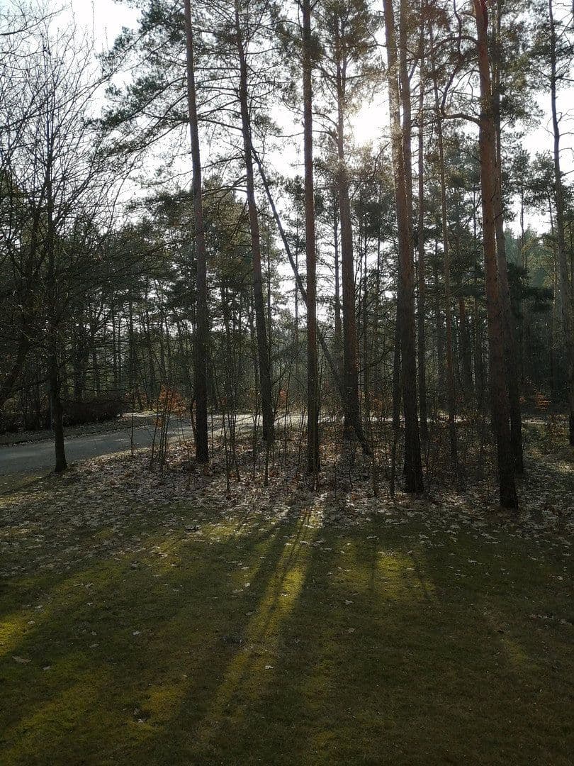 Prenájom bytu 3-izbový 66 m², Pilzheide 14, Heideblick, Brandenbursko Prenájom bytu 3-izbový 66 m², Pilzheide 14, Heideblick, Brandenbursko