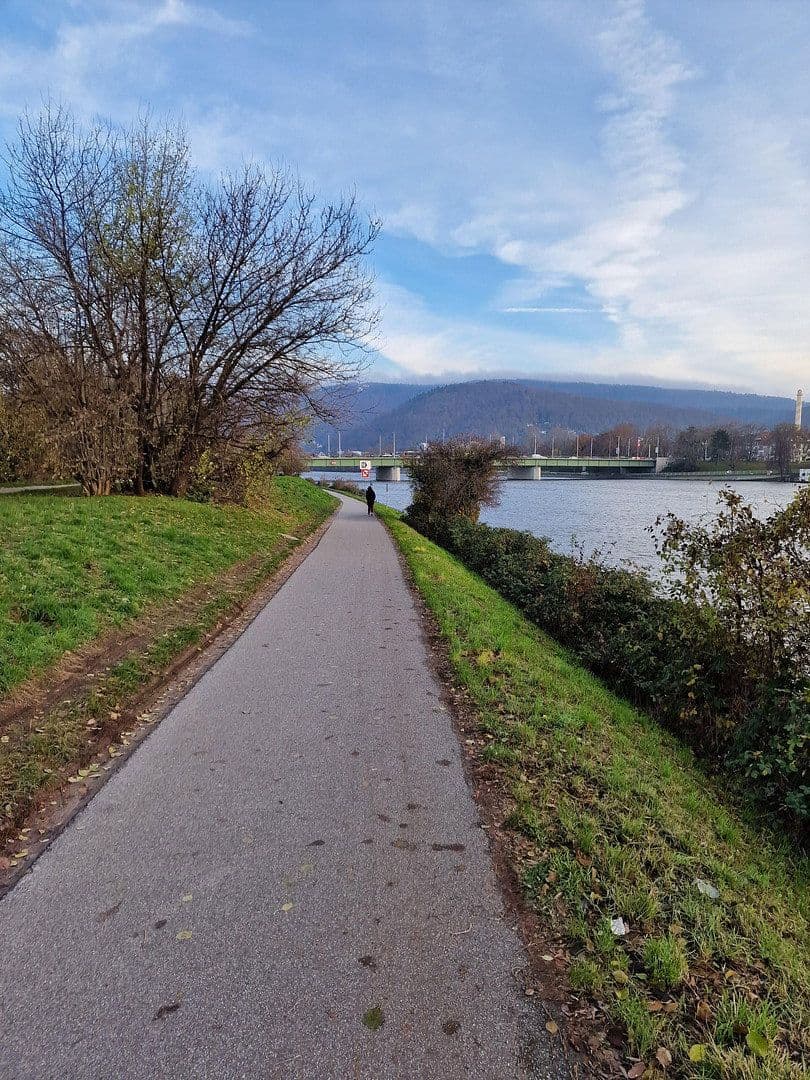 Prenájom bytu 1-izbový 25 m², Im Neuenheimer Feld 370, Heidelberg, Bádensko-Wurttembersko Prenájom bytu 1-izbový 25 m², Im Neuenheimer Feld 370, Heidelberg, Bádensko-Wurttembersko