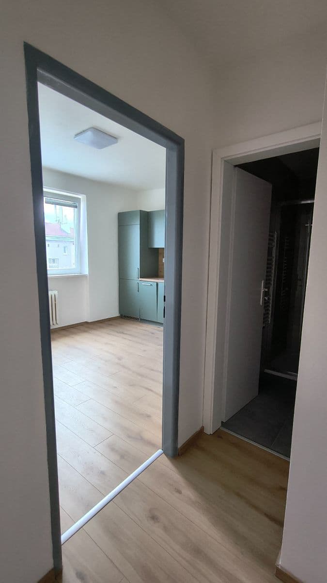 Prenájom bytu 1-izbový 45 m², Půlnoční, Praha, Praha Prenájom bytu 1-izbový 45 m², Půlnoční, Praha, Praha