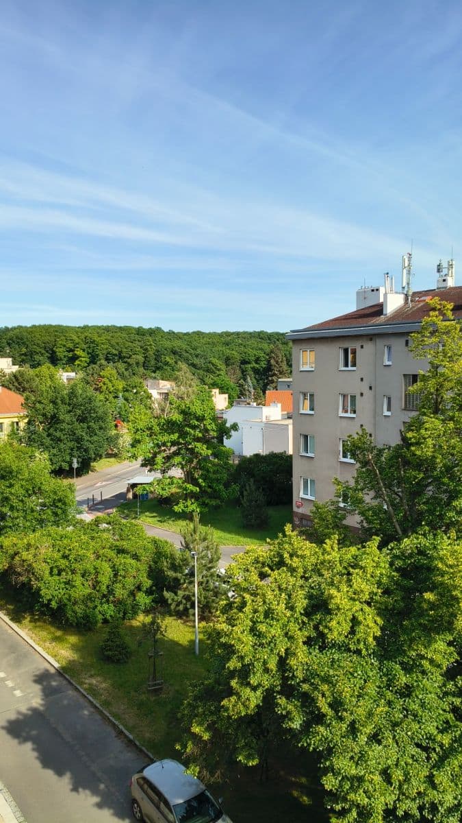 Prenájom bytu 1-izbový 45 m², Půlnoční, Praha, Praha Prenájom bytu 1-izbový 45 m², Půlnoční, Praha, Praha