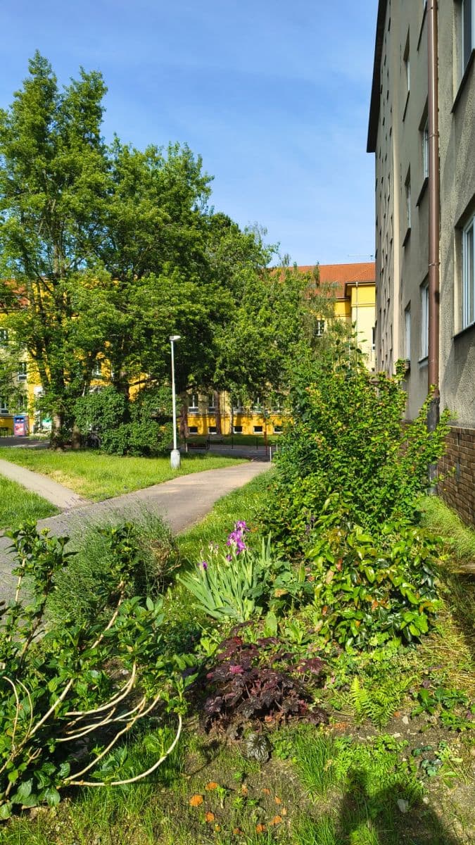 Prenájom bytu 1-izbový 45 m², Půlnoční, Praha, Praha Prenájom bytu 1-izbový 45 m², Půlnoční, Praha, Praha