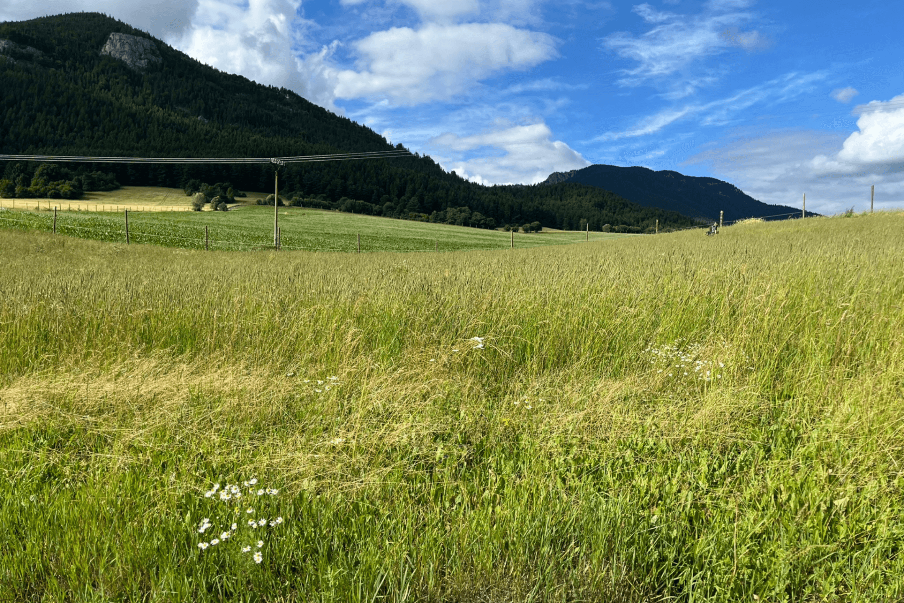 Predaj pozemku 1.821 m², Liptovská Anna, Žilinský kraj Predaj pozemku 1.821 m², Liptovská Anna, Žilinský kraj