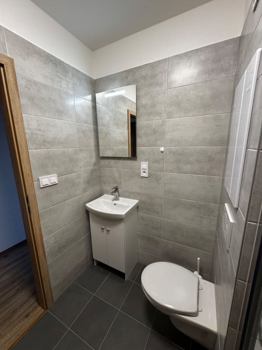 Prenájom bytu 1-izbový 41 m², Sokolovská, Plzeň, Plzeňský kraj Prenájom bytu 1-izbový 41 m², Sokolovská, Plzeň, Plzeňský kraj