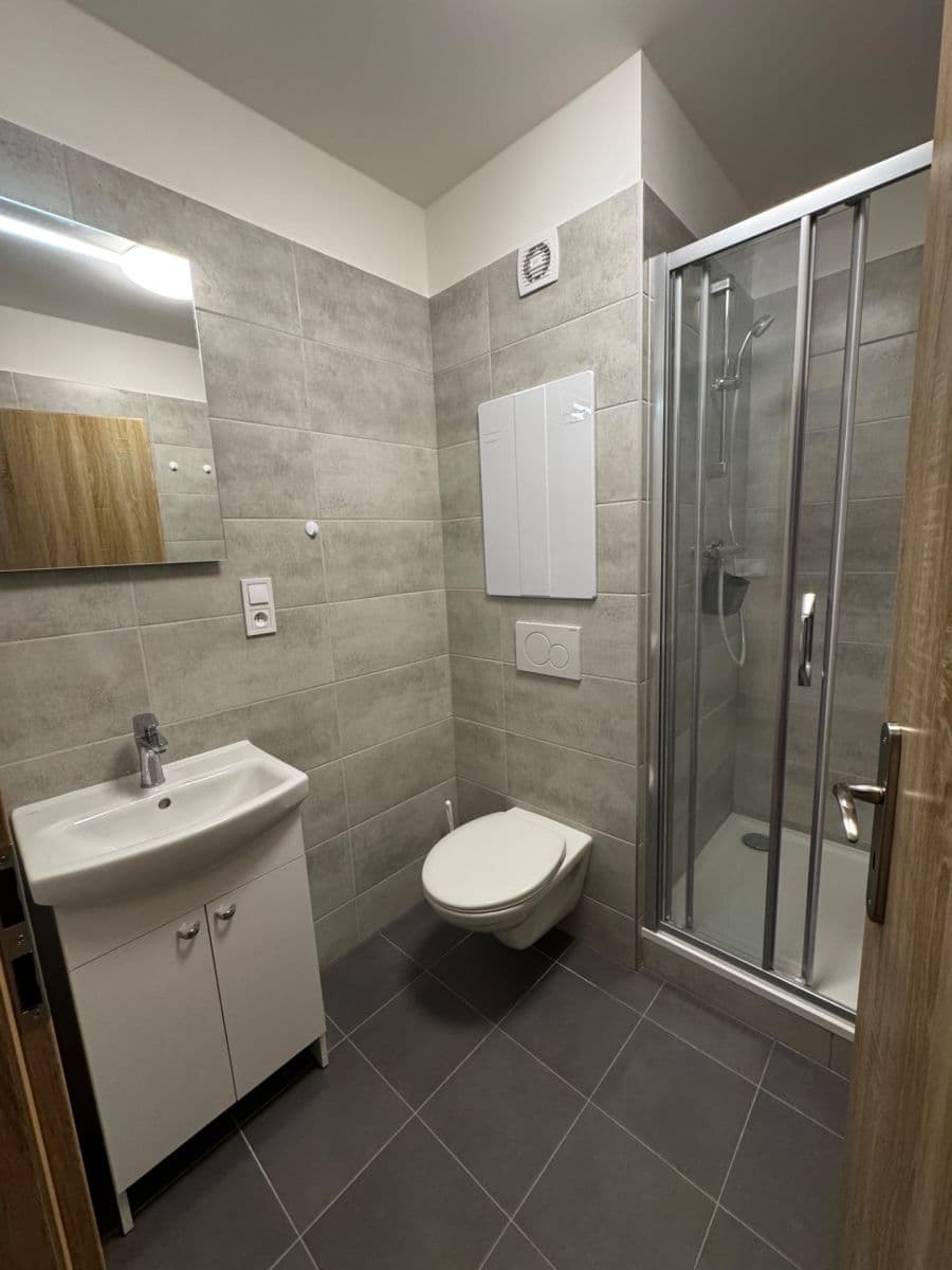 Prenájom bytu 1-izbový 41 m², Sokolovská, Plzeň, Plzeňský kraj Prenájom bytu 1-izbový 41 m², Sokolovská, Plzeň, Plzeňský kraj