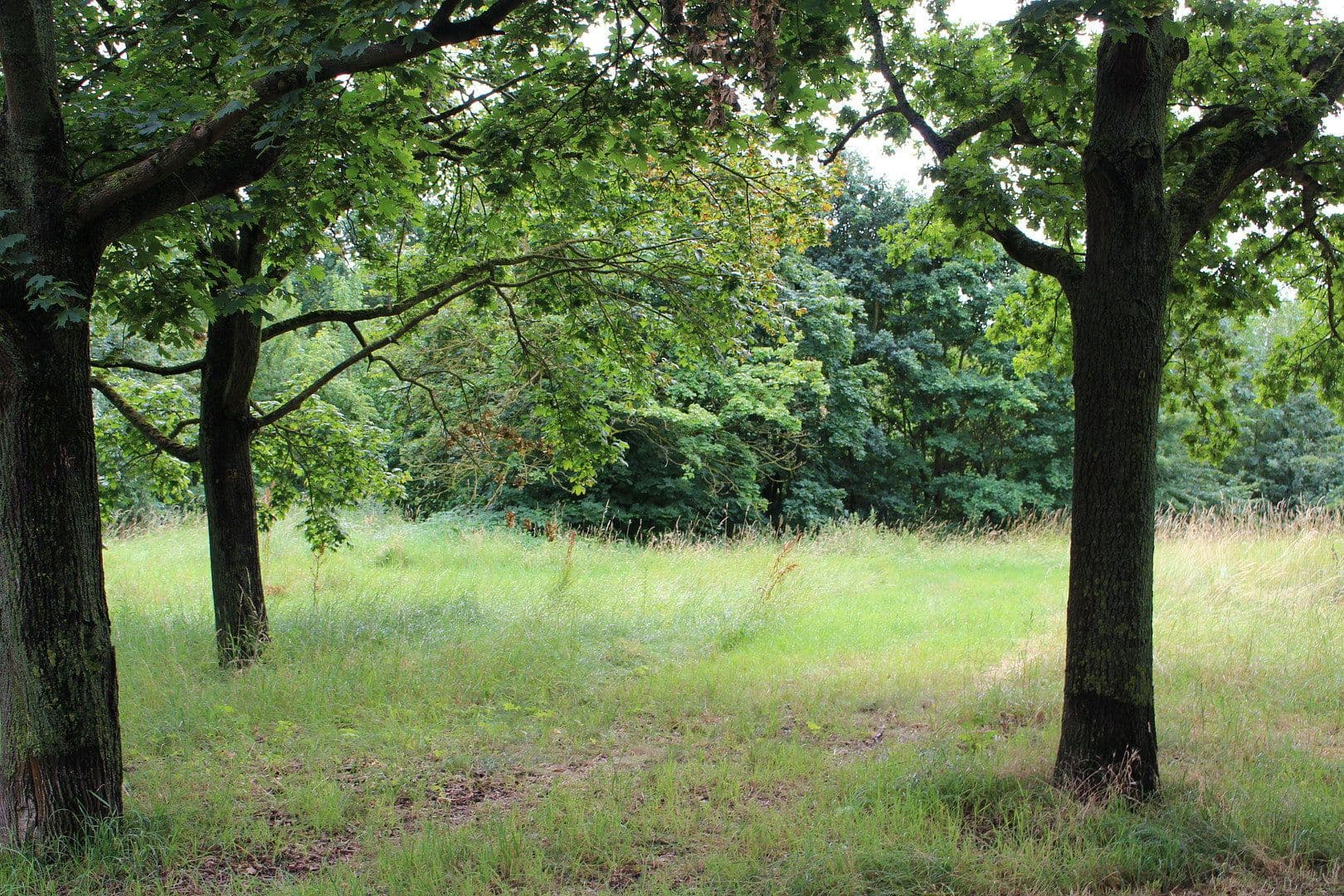 Predaj bytu 4-izbový 125 m², Wegsfeld 42, Hannover, Dolné Sasko Predaj bytu 4-izbový 125 m², Wegsfeld 42, Hannover, Dolné Sasko