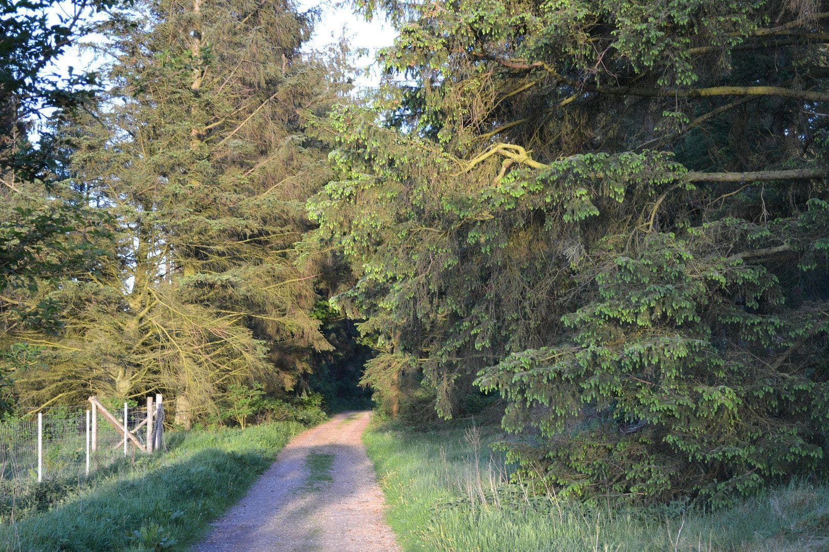 Predaj domu 110 m², pozemok 211 m², Humptrup, Šlezvicko-Holštajnsko Predaj domu 110 m², pozemok 211 m², Humptrup, Šlezvicko-Holštajnsko