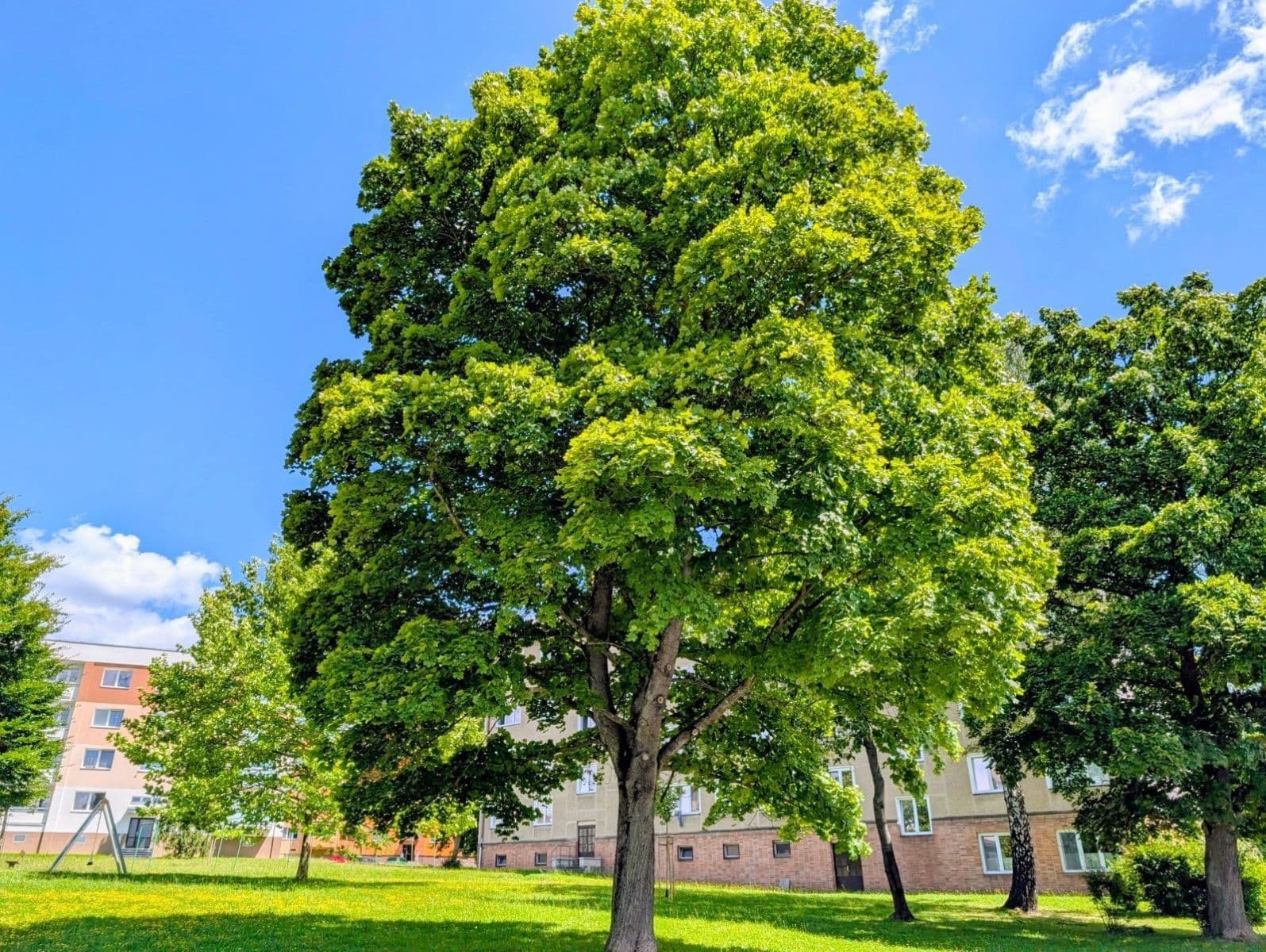 Prenájom bytu 3-izbový 61 m², Uzavřená, Havířov, Moravskoslezský kraj Prenájom bytu 3-izbový 61 m², Uzavřená, Havířov, Moravskoslezský kraj