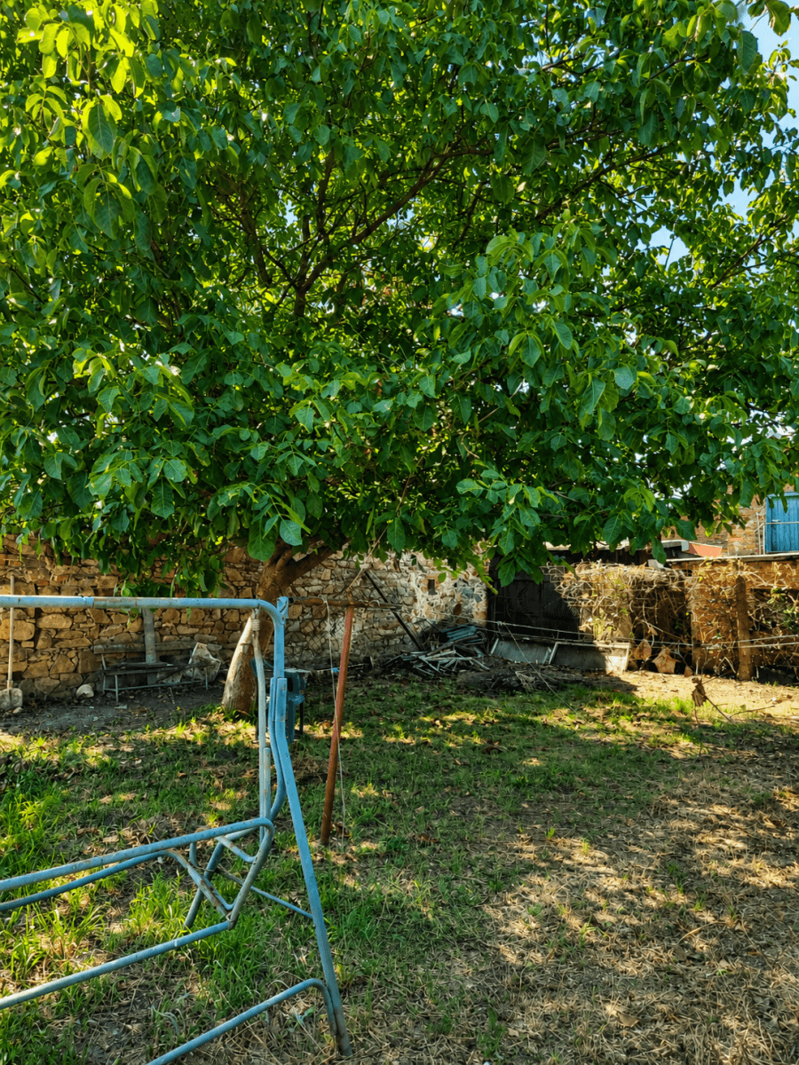 Predaj domu 228 m², pozemok 295 m², Obránců míru, Trnávka, Pardubický kraj Predaj domu 228 m², pozemok 295 m², Obránců míru, Trnávka, Pardubický kraj