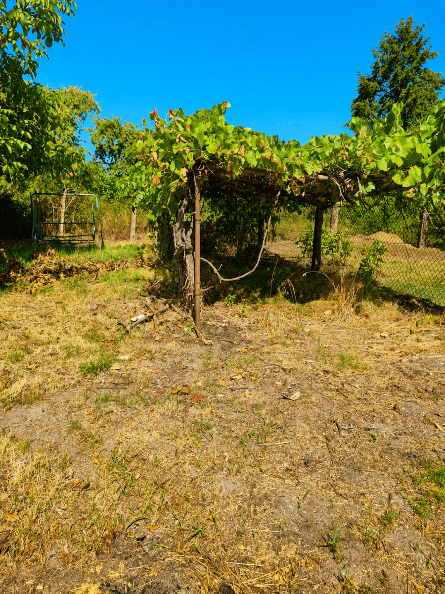 Predaj domu 228 m², pozemok 295 m², Obránců míru, Trnávka, Pardubický kraj Predaj domu 228 m², pozemok 295 m², Obránců míru, Trnávka, Pardubický kraj