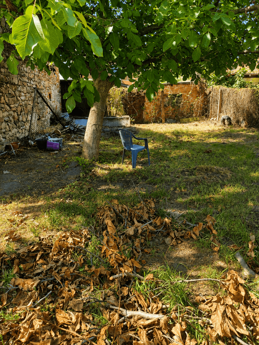 Predaj domu 228 m², pozemok 295 m², Obránců míru, Trnávka, Pardubický kraj Predaj domu 228 m², pozemok 295 m², Obránců míru, Trnávka, Pardubický kraj