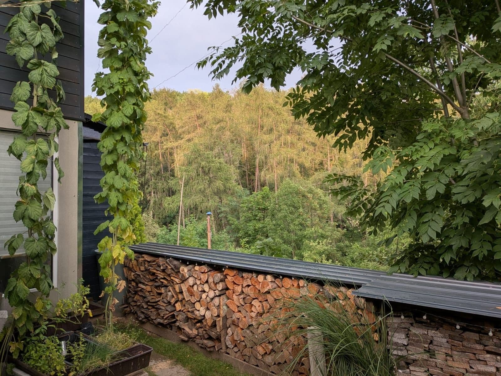 Predaj rekreačného objektu 45 m², pozemok 185 m², Višňovka, Praha, Praha Predaj rekreačného objektu 45 m², pozemok 185 m², Višňovka, Praha, Praha