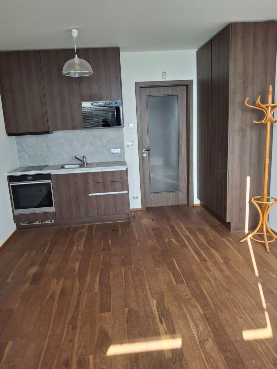 Prenájom bytu 1-izbový 28 m², Bassova, Praha, Praha Prenájom bytu 1-izbový 28 m², Bassova, Praha, Praha