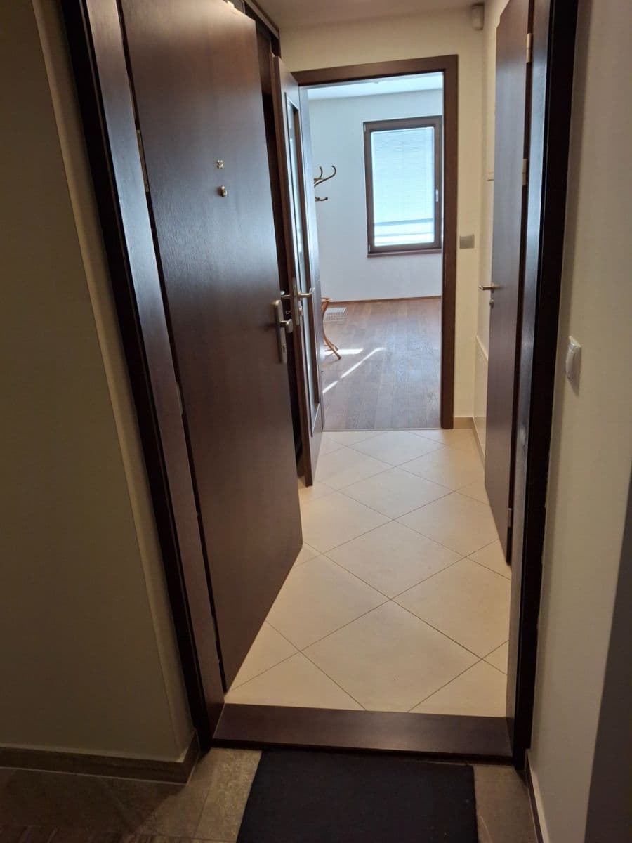 Prenájom bytu 1-izbový 28 m², Bassova, Praha, Praha Prenájom bytu 1-izbový 28 m², Bassova, Praha, Praha