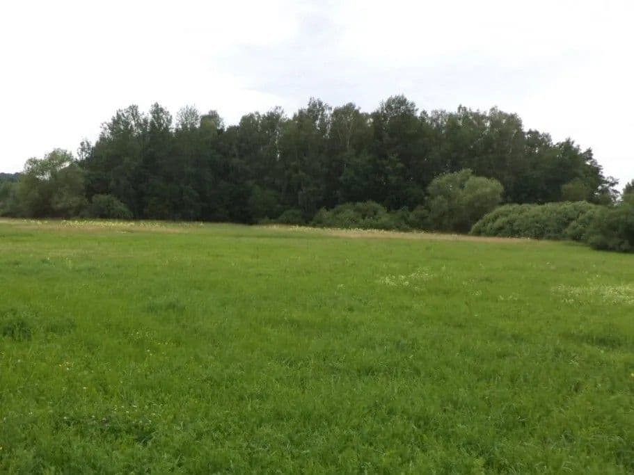Predaj pozemku 5.581 m², Česká Lípa, Liberecký kraj Predaj pozemku 5.581 m², Česká Lípa, Liberecký kraj