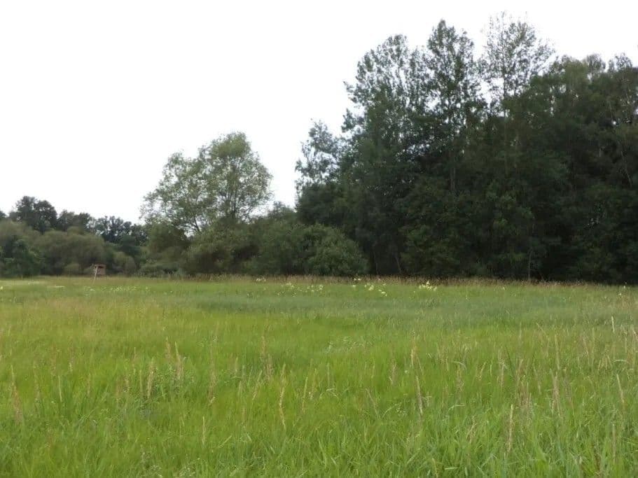 Predaj pozemku 5.581 m², Česká Lípa, Liberecký kraj Predaj pozemku 5.581 m², Česká Lípa, Liberecký kraj