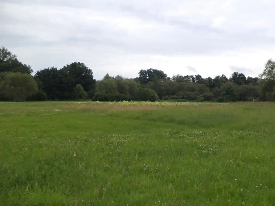 Predaj pozemku 5.581 m², Česká Lípa, Liberecký kraj Predaj pozemku 5.581 m², Česká Lípa, Liberecký kraj