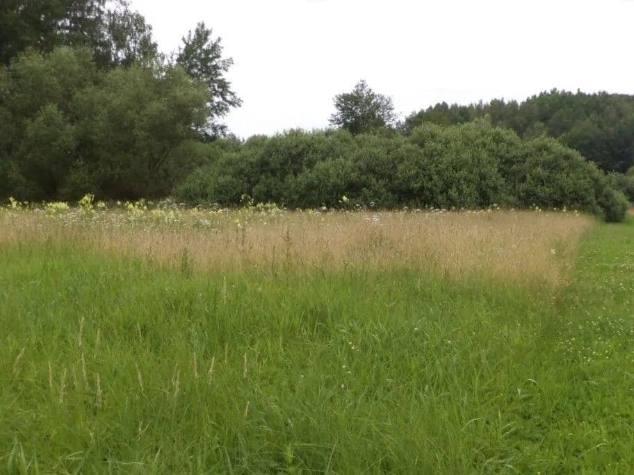 Predaj pozemku 5.581 m², Česká Lípa, Liberecký kraj Predaj pozemku 5.581 m², Česká Lípa, Liberecký kraj