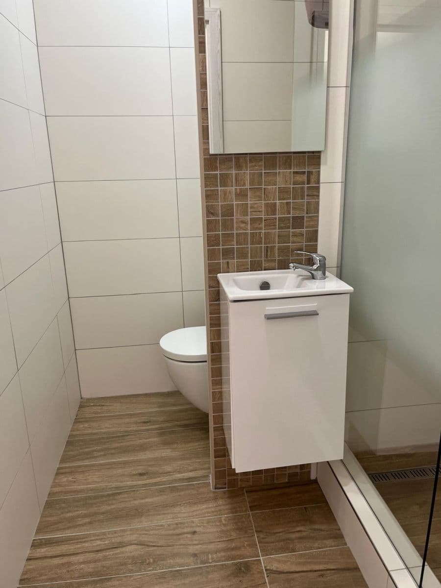Prenájom bytu 1-izbový 22 m², Březová alej, Liberec, Liberecký kraj Prenájom bytu 1-izbový 22 m², Březová alej, Liberec, Liberecký kraj
