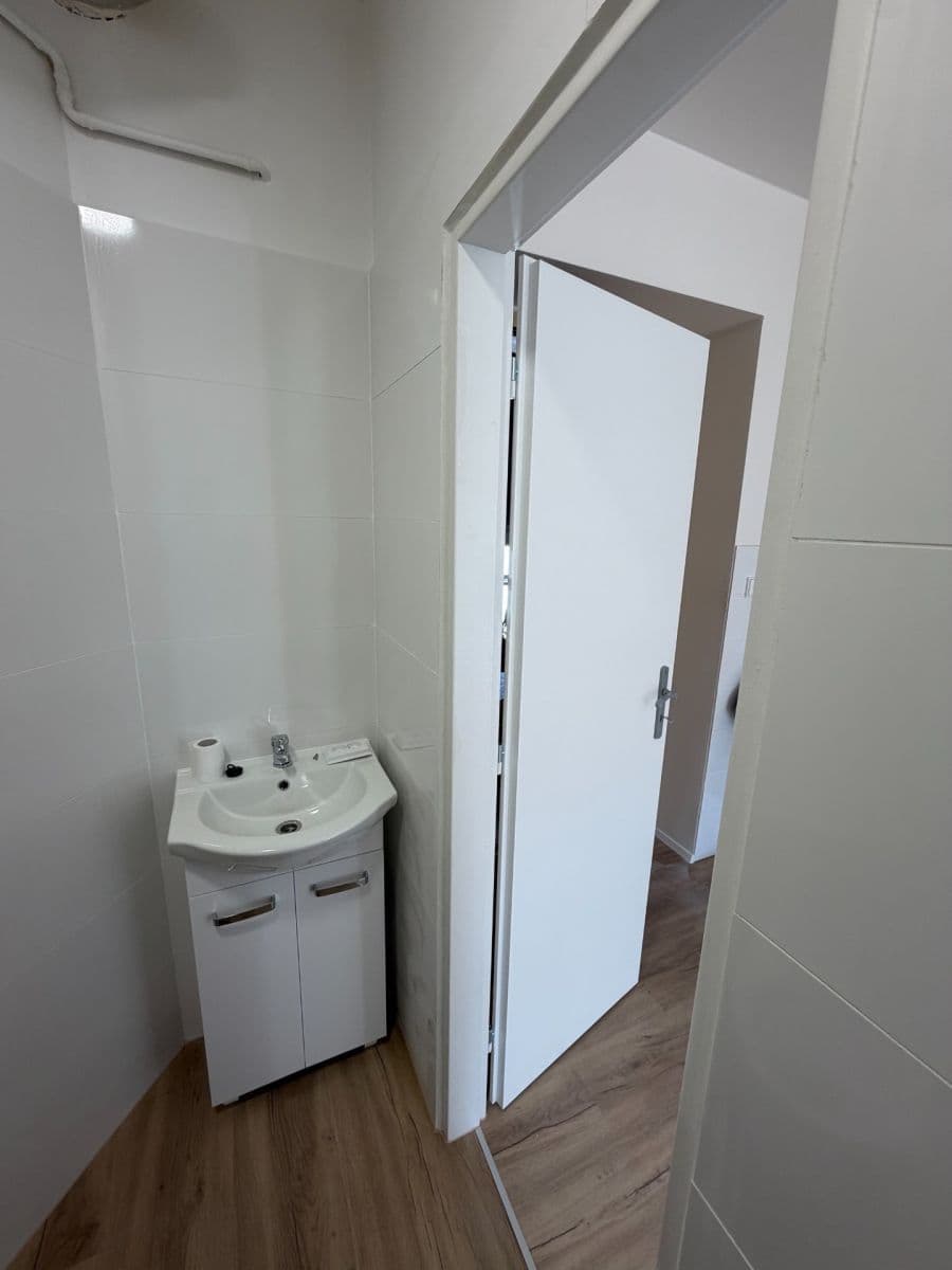Prenájom bytu 1-izbový 45 m², Na Dědince, Praha, Praha Prenájom bytu 1-izbový 45 m², Na Dědince, Praha, Praha