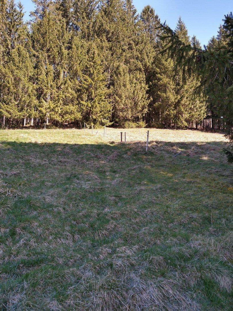 Predaj domu 237 m², pozemok 980 m², Furtwangen im Schwarzwald, Bádensko-Wurttembersko Predaj domu 237 m², pozemok 980 m², Furtwangen im Schwarzwald, Bádensko-Wurttembersko