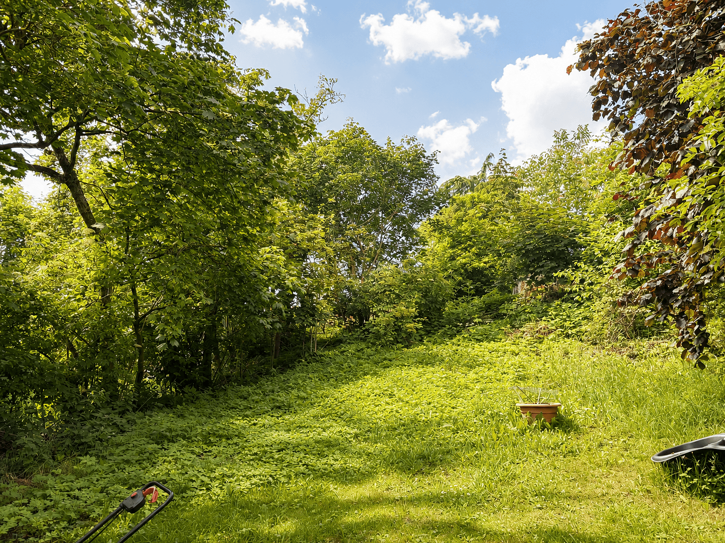 Predaj domu 483 m², pozemok 1.664 m², Lamspringe, Dolné Sasko Predaj domu 483 m², pozemok 1.664 m², Lamspringe, Dolné Sasko