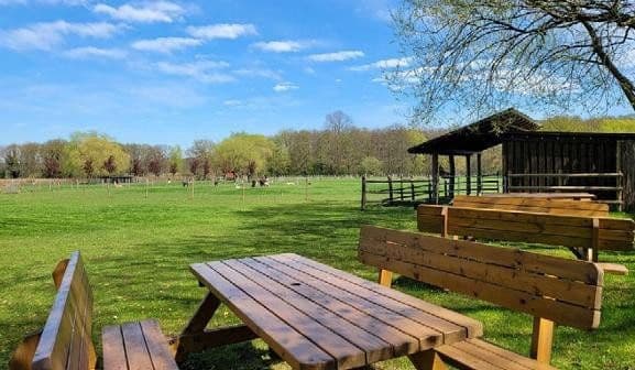 Predaj domu 703 m², pozemok 41.670 m², Niederkrüchten, Severné Porýnie - Westfálsko Predaj domu 703 m², pozemok 41.670 m², Niederkrüchten, Severné Porýnie - Westfálsko