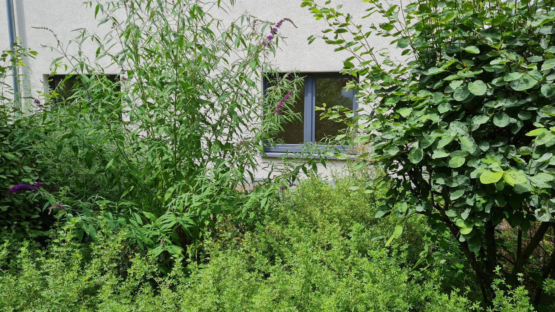 Prenájom bytu 3-izbový 62 m², Frankfurt am Main, Hesensko Prenájom bytu 3-izbový 62 m², Frankfurt am Main, Hesensko