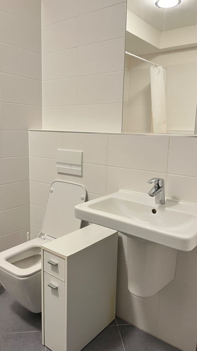 Prenájom bytu 1-izbový 33 m², Makedonská, Praha, Praha Prenájom bytu 1-izbový 33 m², Makedonská, Praha, Praha