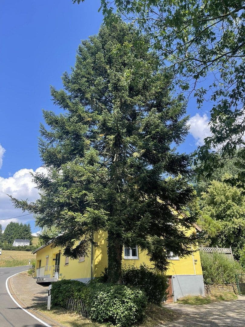 Predaj domu 201 m², pozemok 3.251 m², Kopp, Porýnie-Falcko Predaj domu 201 m², pozemok 3.251 m², Kopp, Porýnie-Falcko
