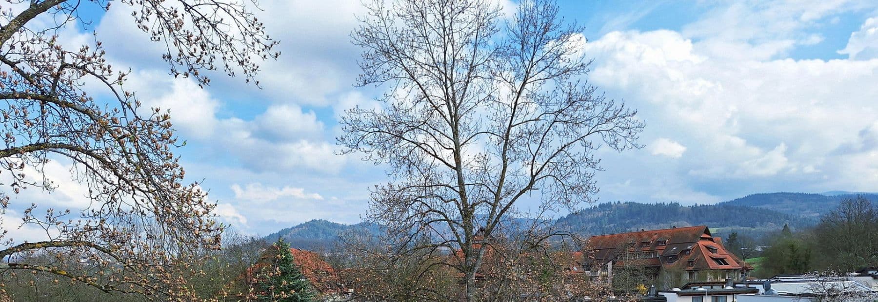 Predaj bytu 3-izbový 92 m², Freiburg im Breisgau, Bádensko-Wurttembersko Predaj bytu 3-izbový 92 m², Freiburg im Breisgau, Bádensko-Wurttembersko
