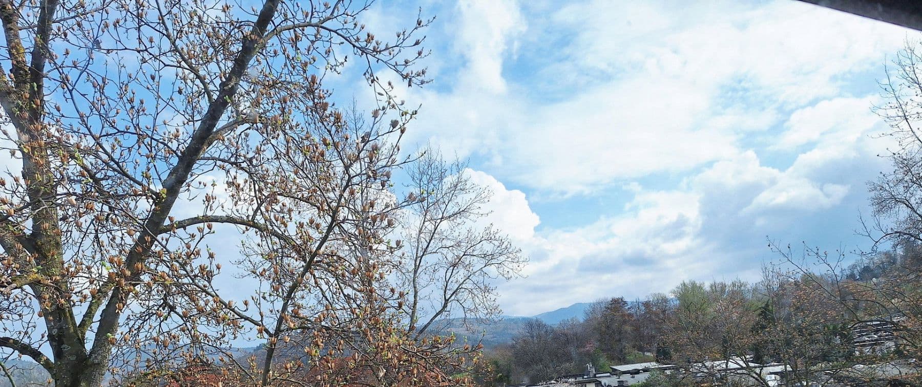 Predaj bytu 3-izbový 92 m², Freiburg im Breisgau, Bádensko-Wurttembersko Predaj bytu 3-izbový 92 m², Freiburg im Breisgau, Bádensko-Wurttembersko