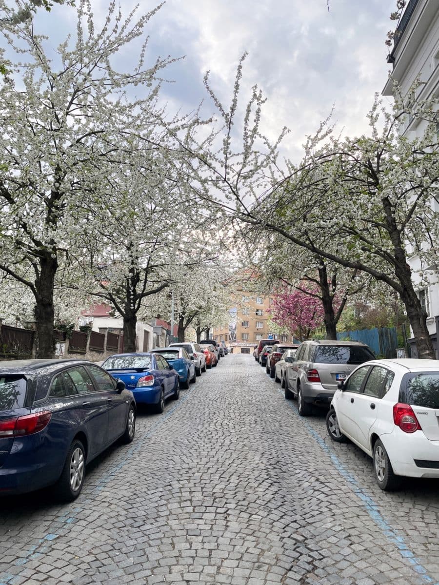 Predaj bytu 1-izbový 25 m², Soběslavská, Praha, Praha Predaj bytu 1-izbový 25 m², Soběslavská, Praha, Praha