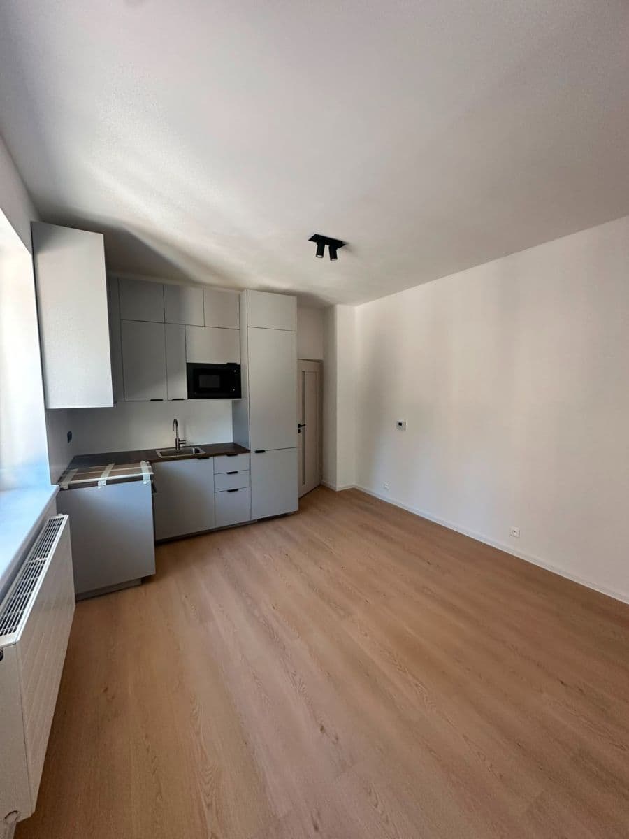 Prenájom bytu 1-izbový 29 m², Pod Drinopolem, Praha, Praha Prenájom bytu 1-izbový 29 m², Pod Drinopolem, Praha, Praha