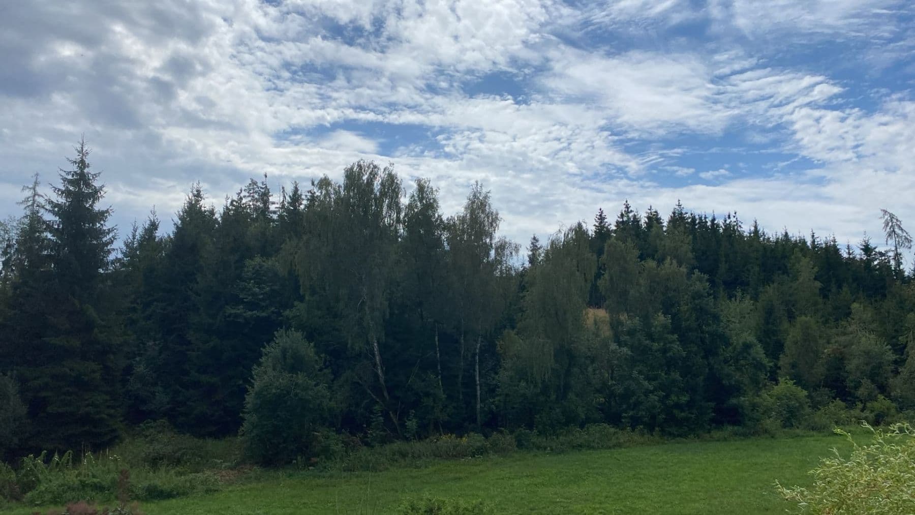 Predaj rekreačného objektu 114 m², pozemok 290 m², Nová Cerekev, Kraj Vysočina Predaj rekreačného objektu 114 m², pozemok 290 m², Nová Cerekev, Kraj Vysočina