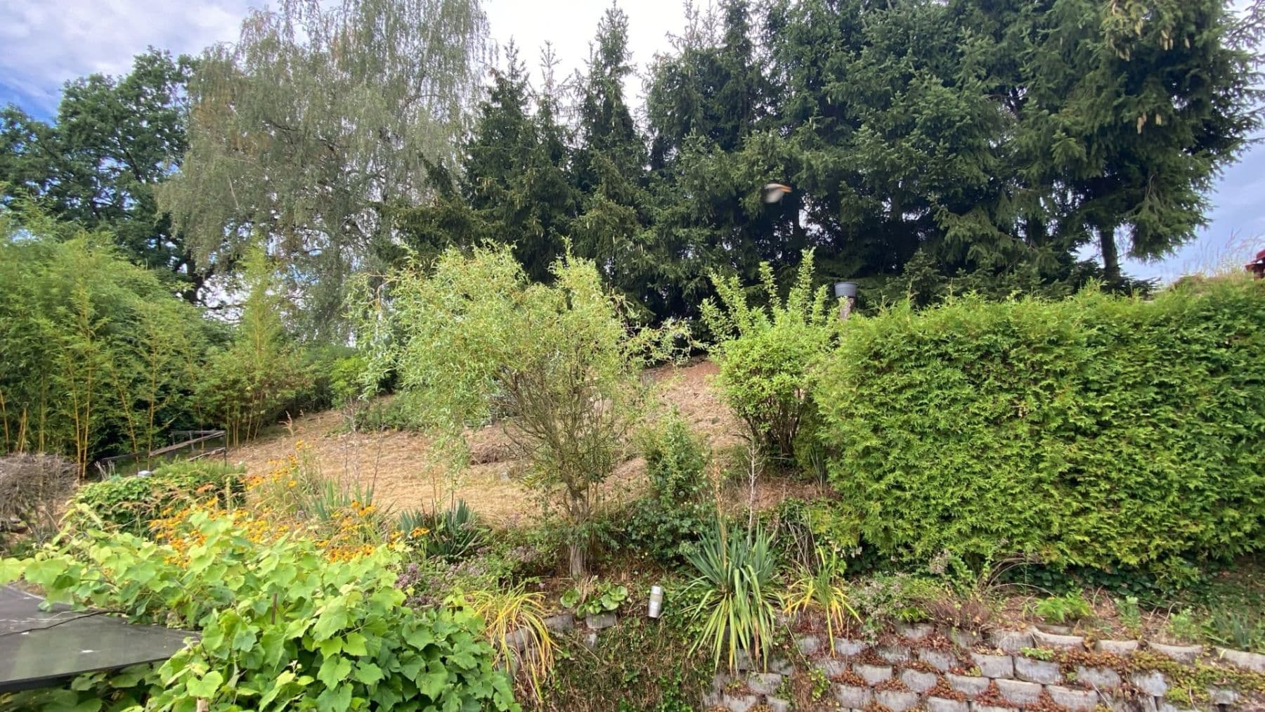 Predaj rekreačného objektu 114 m², pozemok 290 m², Nová Cerekev, Kraj Vysočina Predaj rekreačného objektu 114 m², pozemok 290 m², Nová Cerekev, Kraj Vysočina