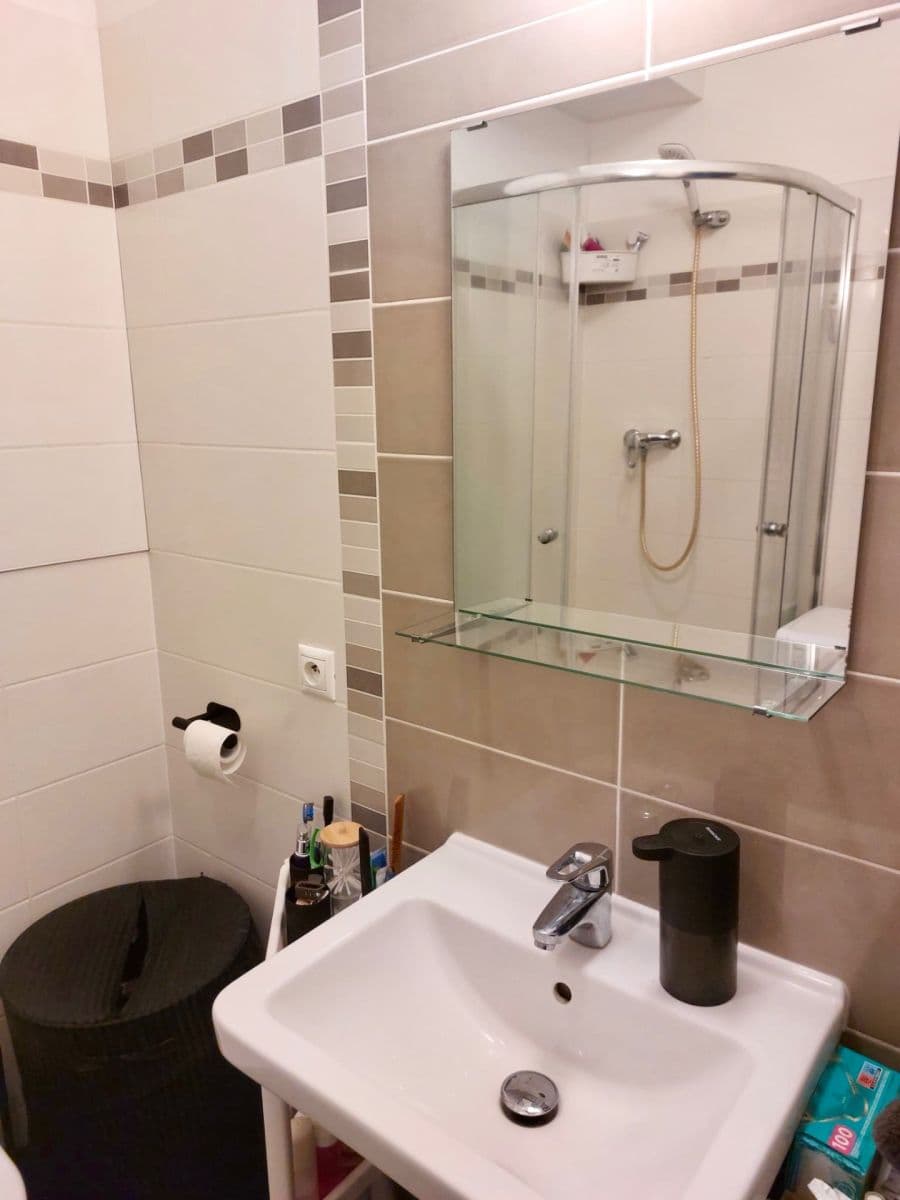 Prenájom bytu 2-izbový 44 m², Freyova, Praha, Praha Prenájom bytu 2-izbový 44 m², Freyova, Praha, Praha