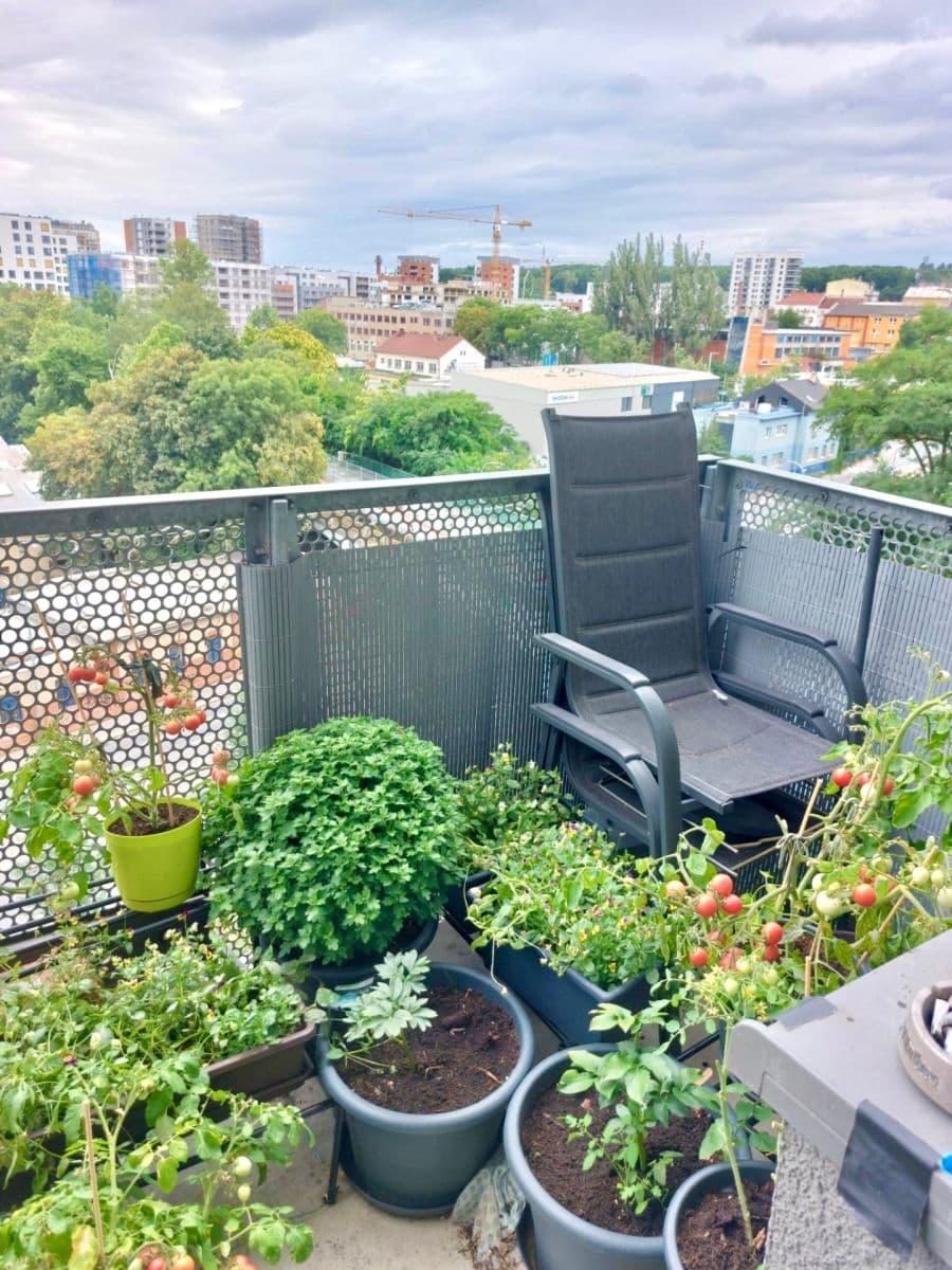 Prenájom bytu 2-izbový 44 m², Freyova, Praha, Praha Prenájom bytu 2-izbový 44 m², Freyova, Praha, Praha