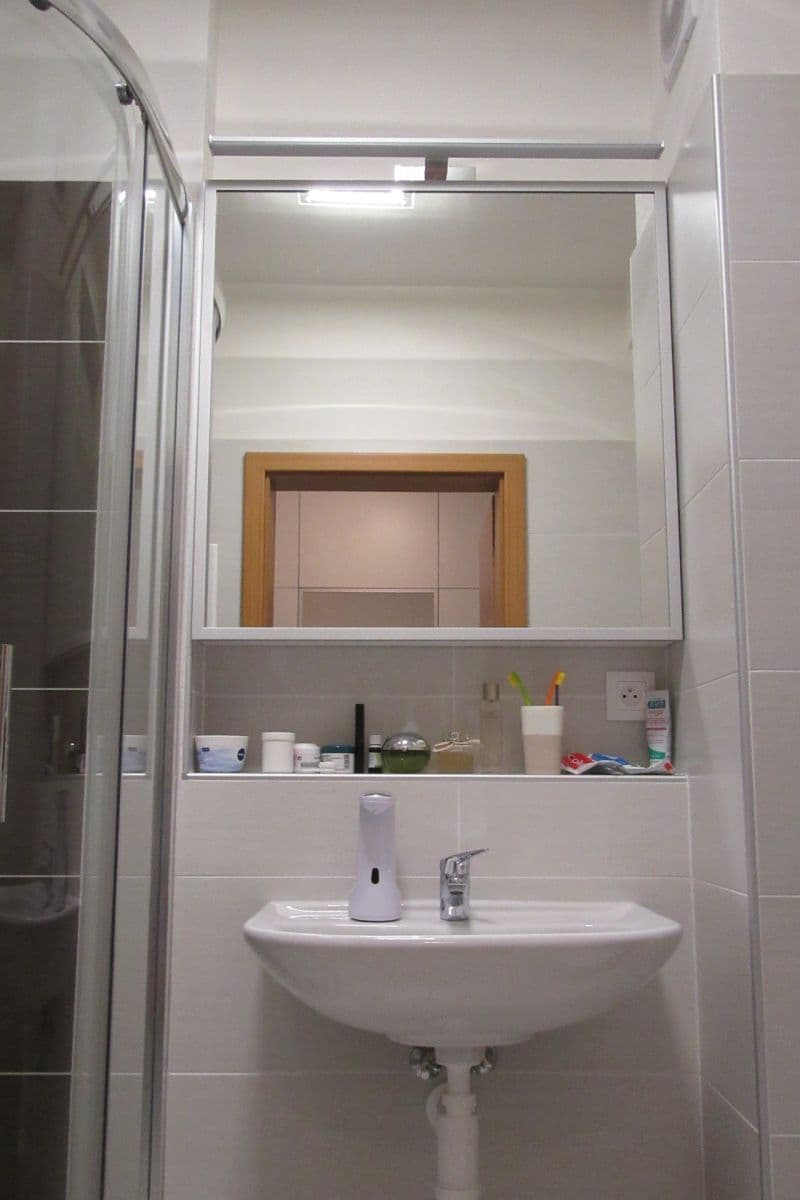 Prenájom bytu 2-izbový 49 m², Bučkova, Brno, Jihomoravský kraj Prenájom bytu 2-izbový 49 m², Bučkova, Brno, Jihomoravský kraj