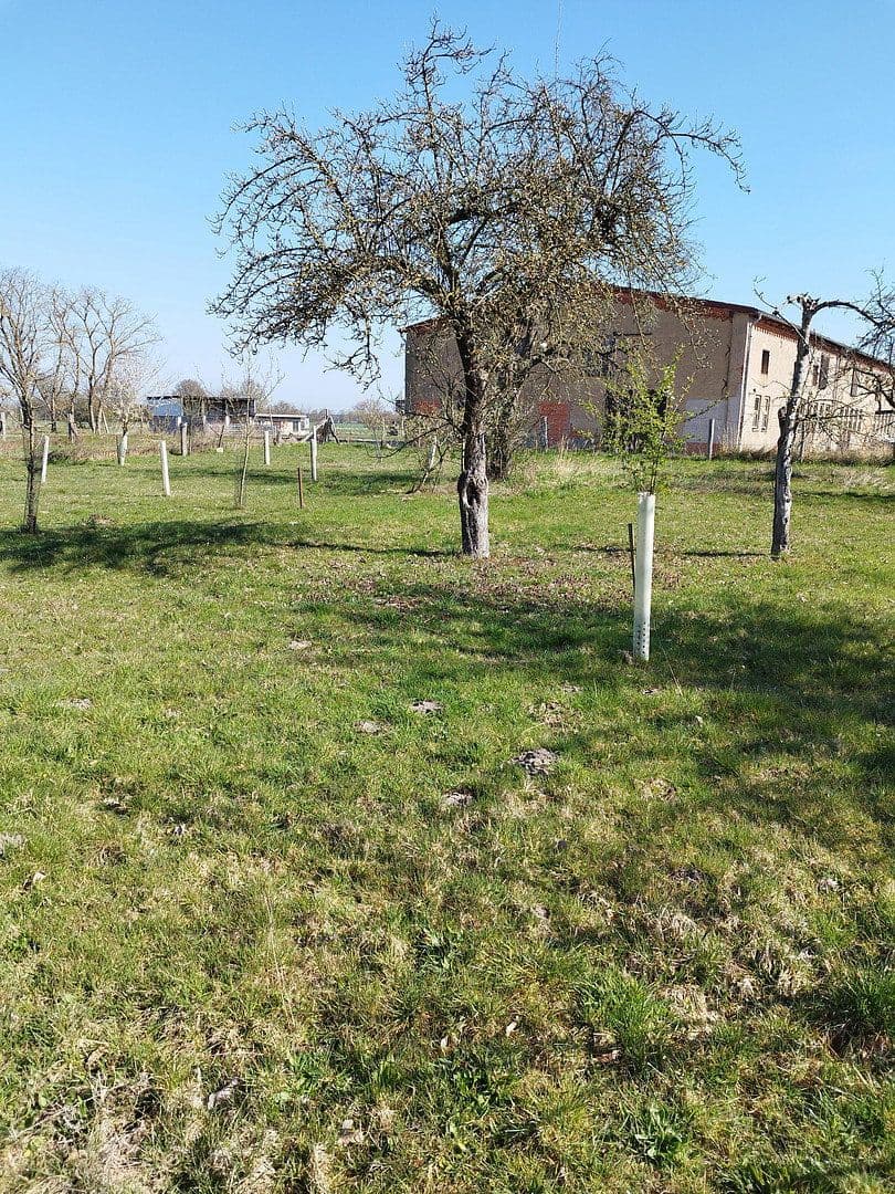 Predaj domu 96 m², pozemok 2.076 m², Osterburg (Altmark), Sasko-Anhaltsko Predaj domu 96 m², pozemok 2.076 m², Osterburg (Altmark), Sasko-Anhaltsko