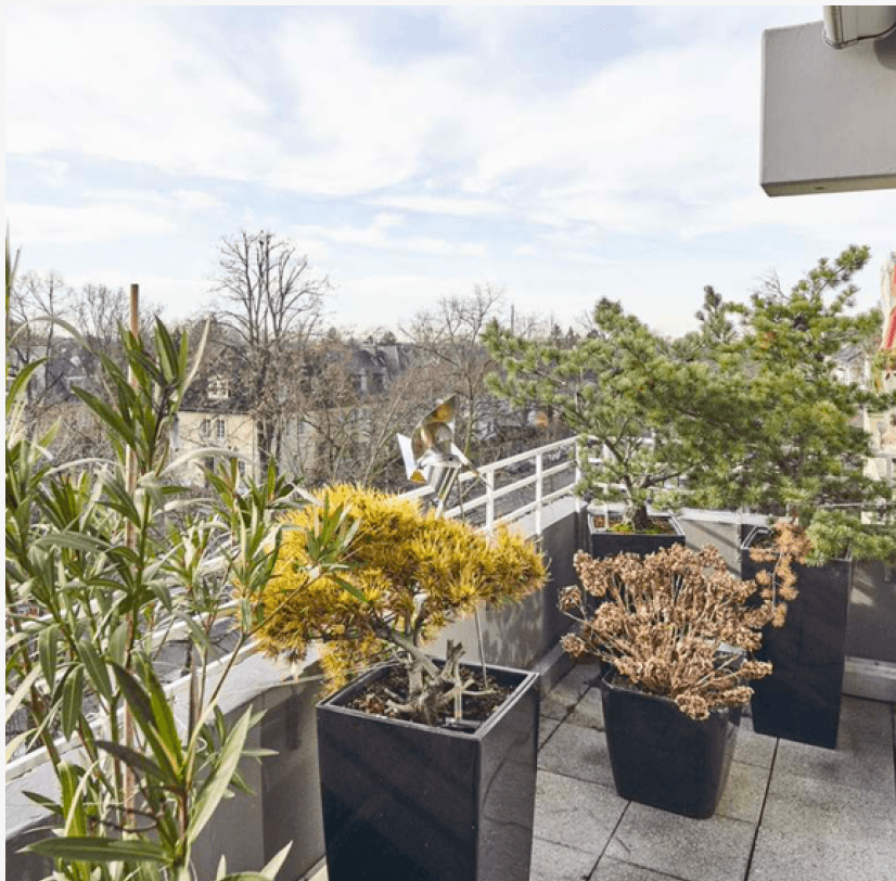 Predaj bytu 3-izbový 135 m², Riehler Gürtel 8, Köln, Severné Porýnie - Westfálsko Predaj bytu 3-izbový 135 m², Riehler Gürtel 8, Köln, Severné Porýnie - Westfálsko