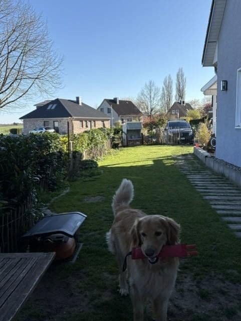 Predaj domu 126 m², pozemok 427 m², Hohenfelde, Šlezvicko-Holštajnsko Predaj domu 126 m², pozemok 427 m², Hohenfelde, Šlezvicko-Holštajnsko