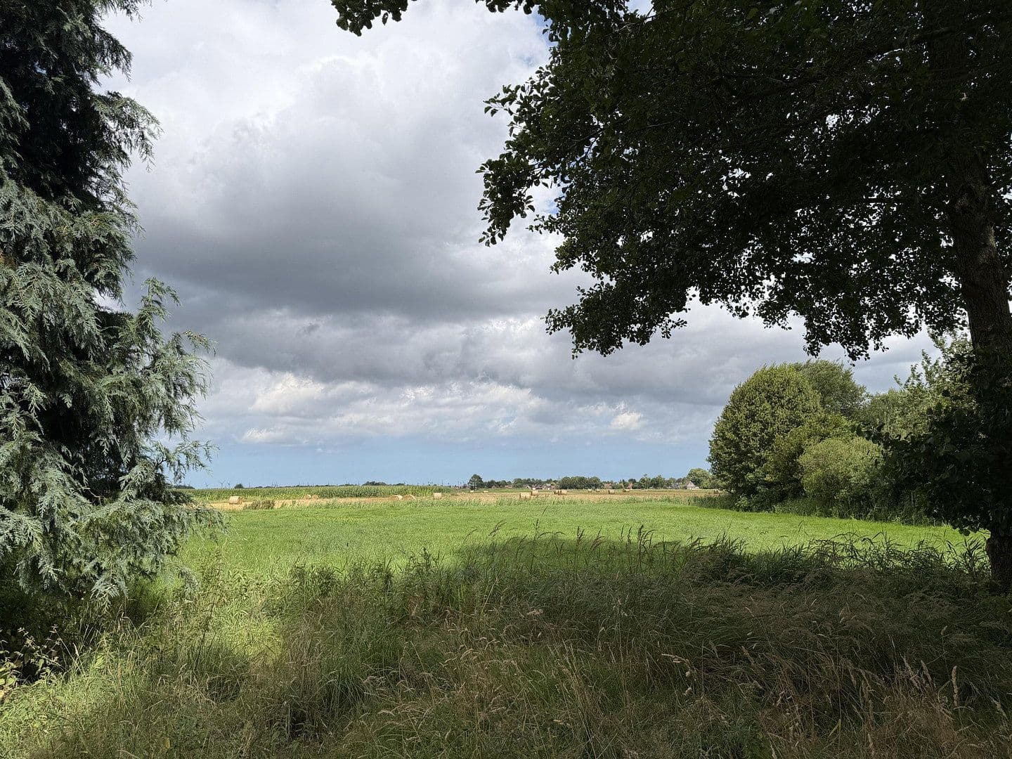 Predaj domu 70 m², pozemok 6.329 m², Bummert Trift 8, Hage, Dolné Sasko Predaj domu 70 m², pozemok 6.329 m², Bummert Trift 8, Hage, Dolné Sasko