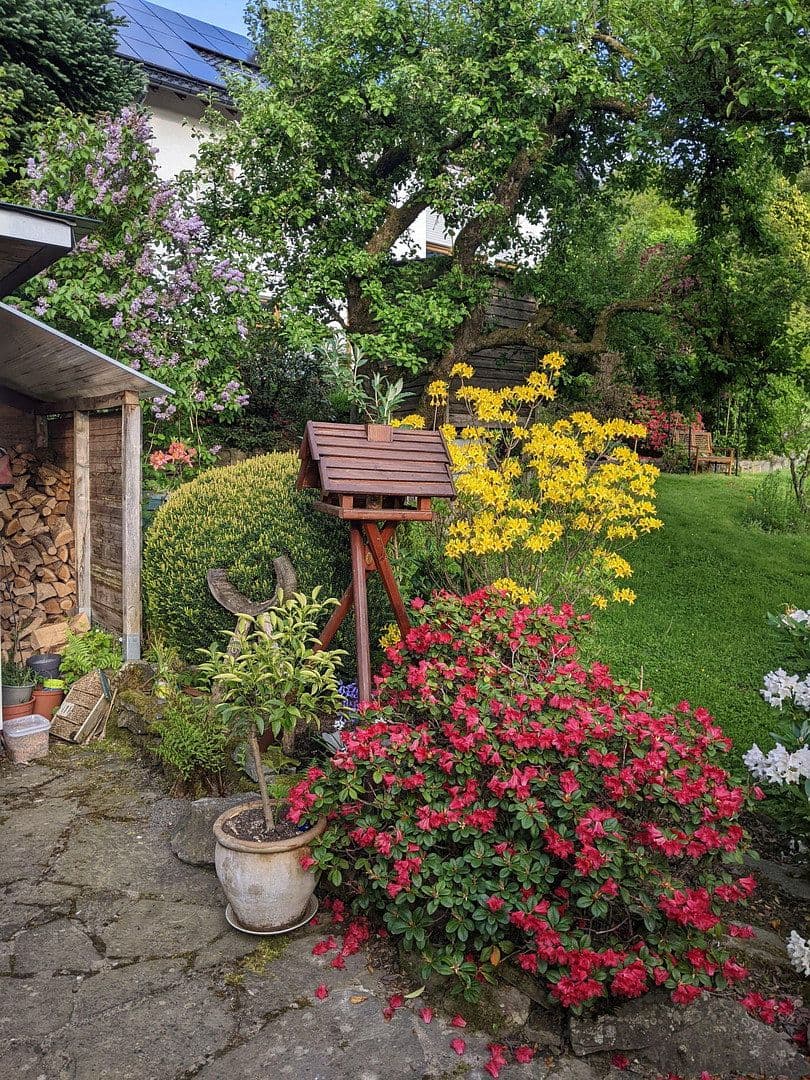 Predaj domu 118 m², pozemok 427 m², Reichshof, Severné Porýnie - Westfálsko Predaj domu 118 m², pozemok 427 m², Reichshof, Severné Porýnie - Westfálsko