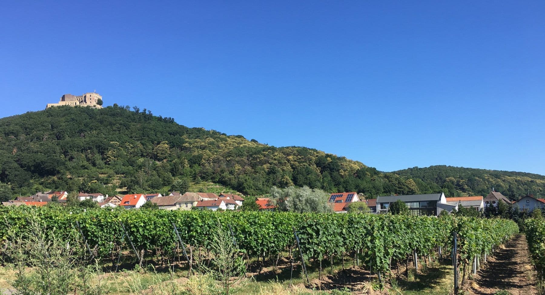 Predaj domu 297 m², pozemok 620 m², Neustadt an der Weinstraße, Ortsteil Hambach, Porýnie-Falcko Predaj domu 297 m², pozemok 620 m², Neustadt an der Weinstraße, Ortsteil Hambach, Porýnie-Falcko