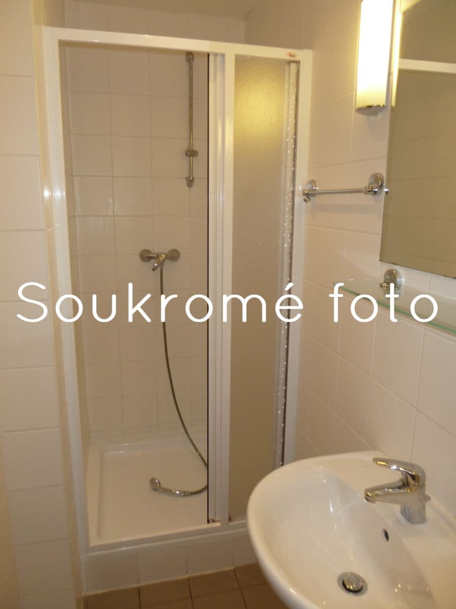 Prenájom bytu 1-izbový 44 m², Za Hájem, Praha, Praha Prenájom bytu 1-izbový 44 m², Za Hájem, Praha, Praha