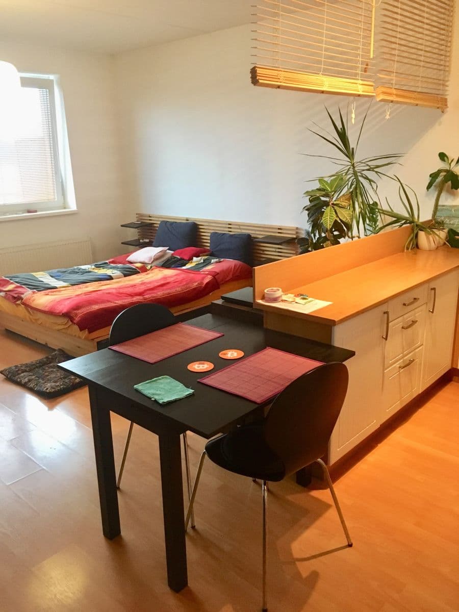 Prenájom bytu 1-izbový 40 m², Bratislavská, Praha, Praha Prenájom bytu 1-izbový 40 m², Bratislavská, Praha, Praha