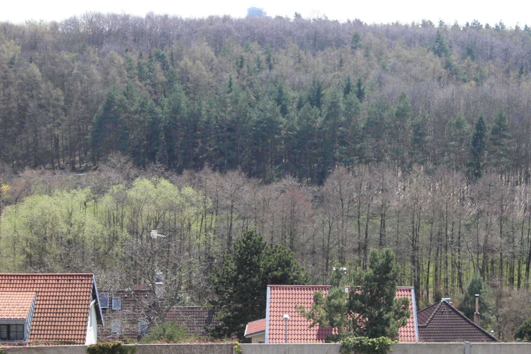 Prenájom bytu 1-izbový 40 m², Bratislavská, Praha, Praha Prenájom bytu 1-izbový 40 m², Bratislavská, Praha, Praha